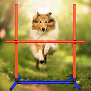 Güvenli aşınmaya dayanıklı eğlenceli kolay kurulum Pet eğitim ekipmanları köpek engel eğitim dişli Pet oyun ve köpek koşu eğitim için - Product Image 3