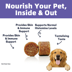 <strong>Dog</strong> Allergy Chews with <strong>Fish</strong> <strong>Oil</strong> &amp; Probiotics - Seasonal Itching Relief, Immune &amp; Skin Support (ODM/OEM) - Product Image 4
