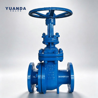 Vanne de conduite d'eau municipale Z41X DN150 PN16 en fonte ductile à bride pour station de pompage de drainage