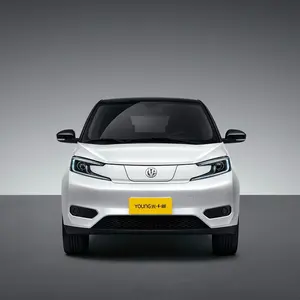 स्टॉक में 408KM 2023 मॉडल Evhouse YoungGuangXiaoXing शुद्ध इलेक्ट्रिक Minicar कार 5 पहियों 4 सीटें बिजली का इस्तेमाल किया ईवी कारों