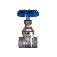 Vannes de service manuelles en acier inoxydable 304 pour l'eau, DN15-DN25, testées 48h/72h en pulvérisation de sel pour Dubaï/Brésil
