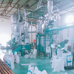 Planta de Molienda de Maíz Totalmente Automática de Alta Eficiencia de 10 TPD, <span class=keywords><strong>Precio</strong></span> de Fábrica, Equipo de Molienda de Maíz, Más Vendida - Product Image 4