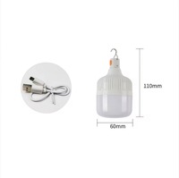 USB-Stecker LED-Notbeleuchtungsbirnen Batteriebetrieben Kaltweiß Camping Kunststoff Fernbedienung 4800mAh 3H Ra90 IP20 8W