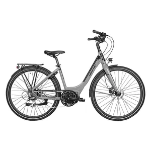 高品质廉价产品36v250w廉价纳科电动城市自行车成人女性电动自行车成人ebike