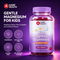 Suplemen Magnesium Gummy Rasa Raspberry untuk Anak Grosir, Magnesium Lembut untuk Tidur Nyenyak dan Kenyamanan Otot, 90 Gummy untuk Anak OEM