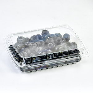 Tùy chỉnh cấp thực phẩm Pet nhựa dùng một lần 1lb/1,5lb/2lb dâu tây container punnet Blueberry vỏ sò bao bì hộp - Product Image 3