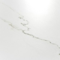 Baldosa de mármol blanco Calacatta Thassos 100 x 100 para suelo y pared