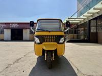Tricycle à essence confortable de 200 cm³ avec auvent, rickshaw à 3 roues pour usage professionnel de taxi
