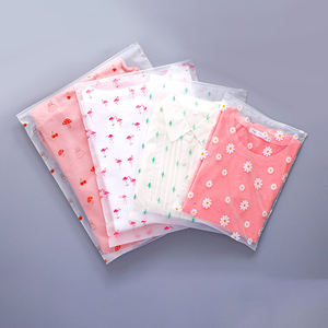 Frosted Zipper <b>Bag</b> <b>Packaging</b> High Quality New Matte Compostable Printed Custom Eva Colorful for T Shirt <b>Clothing</b> - Product Image 2