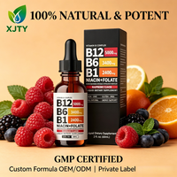 Complément alimentaire liquide tout-en-un à base de plantes, vitamines B12+B6, marque privée OEM, pour l'immunité et le métabolisme énergétique