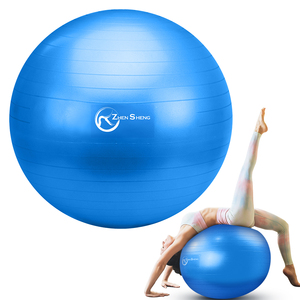 Zhensheng vente en gros ballons de fitness en boîte ballons de sport Yoga Pilates ballons de yoga suisses 45/ 55/<span class=keywords><strong>65</strong></span>/75/85cm Styles classiques - Product Image 3
