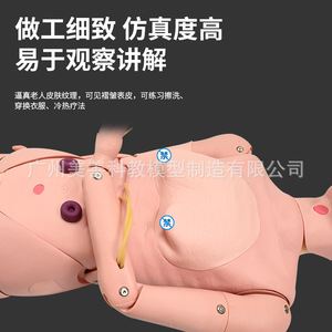 Modelo Humano de Enseñanza Médica para Personas Mayores, con Funciones Completas, para el Cuidado de Ancianos (Femenino y Masculino) - Product Image 5