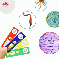 For Children Usage 24pcs Set Customized Russian Plastic Prepared Slides Set Science Promotional Gifts