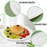12.5 pouces personnalisable compostable sans Bpa couleurs primaires 100% naturel biodégradable éco assiette en papier jetable