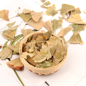 <span class=keywords><strong>Feuille</strong></span> <span class=keywords><strong>de</strong></span> <span class=keywords><strong>ginkgo</strong></span> Feuilles séchées naturelles pour décorations et feuilles pressées - Product Image 6