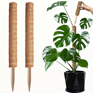 Palo di Muschio in Fibra di Cocco per Piante Rampicanti, Supporta la Crescita e la Ritenzione dell'Umidità, per Piante <span class=keywords><strong>da</strong></span> Interno ed Esterno - Product Image 2