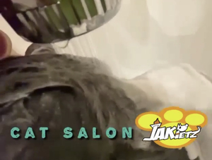 Macchina <span class=keywords><strong>per</strong></span> Shampoo <span class=keywords><strong>per</strong></span> Animali Domestici Stazione di <span class=keywords><strong>Lavaggio</strong></span> <span class=keywords><strong>Cani</strong></span> Lavatrice Automatica <span class=keywords><strong>per</strong></span> Animali Domestici Macchina <span class=keywords><strong>per</strong></span> il Bagno dei Gatti Sistema di Pulizia <span class=keywords><strong>per</strong></span> Animali Domestici <span class=keywords><strong>Lavaggio</strong></span> <span class=keywords><strong>Cani</strong></span> Self-Service - Product Image 2