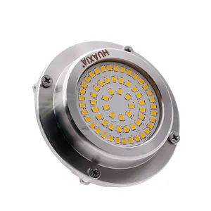 HUAXIA 12V 316SS LED Marine Light Underwater Pool Light Resin Filled Swimming Pool Light