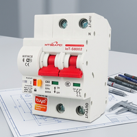 Disjoncteur intelligent WiFi Tuya de haute qualité 110V/230V 16-125A en cuivre PA66 à montage sur rail, capacité de coupure 6KA