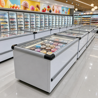 Congélateur coffre horizontal commercial à double porte grande capacité pour la conservation de la viande à usage domestique et en supermarché