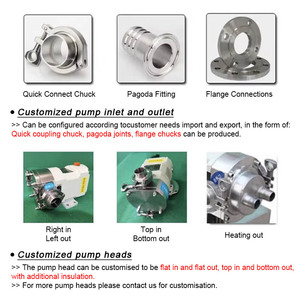Bomba Rotativa de Lobos de Desplazamiento Positivo Sanitaria, Bomba de Transferencia de Grado Alimenticio con Motor - Product Image 4