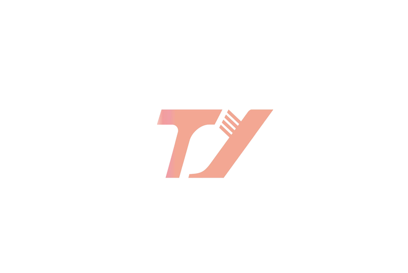 Dongguan Tuoyi Clothing Co., Ltd. logo