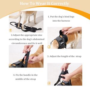 Cinta Ajustável para Cães de Médio e Grande Porte, Suporte para as Patas Traseiras para Reabilitação de Lesões e Artrite, Arnês Macio e Almofadado - Product Image 6