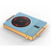 Nouveau Design Four Solaire 12V DC 600W Alimenté par Batterie, Cuisinière à Plaques Vitrocéramiques