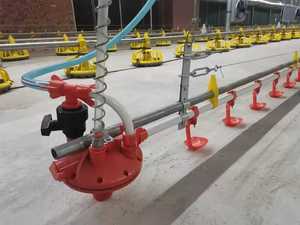 Equipo de Cría en Suelo para Granjas Avícolas PH - Construcción en Acero Inoxidable y PP - Product Image 1