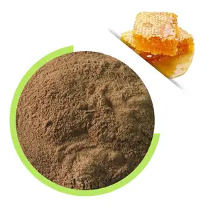 Tambor de polvo de extracto de propóleo a granel a bajo precio, polvo de propóleo de abeja refinado soluble en agua empaquetado de fábrica de proveedores de China