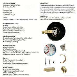 High Quality Low <strong>Price</strong> Bourdon Tube <strong>Thermo</strong>-Manometer Pressure Temperature Gauge with Brass Connector Factory Direct Delivery - Product Image 6