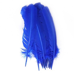 Bán Buôn 25-30 Cm Thổ Nhĩ Kỳ Quill Lông Cho Carnaval Samba Khiêu Vũ Trang Phục Mũ Ba Lô - Product Image 6