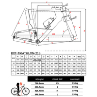 Cadre de vélo de triathlon en carbone BXT T1000, vélo de route en carbone TT, câblage interne, compatible avec L-TWOO ERX 2*12 vitesses
