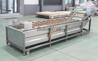 Automatische sorteerlijn voor het wassen van groenten (radijs, bieten, aubergine, komkommer, courgette) van roestvrij staal