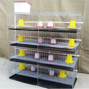 Punto automatizzato di H tipo piccola gabbia di pollo galvanizzata importato per 35000 uccelli pollo per la fattoria - Product Image 1