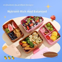 Schattige Kinderen Beer Ontwerp Bento Box Plastic Lunchbox Voedsel Dubbele Laag Capaciteit Lunchbox Draagbare Compartimental Verzegelde Lunchbox