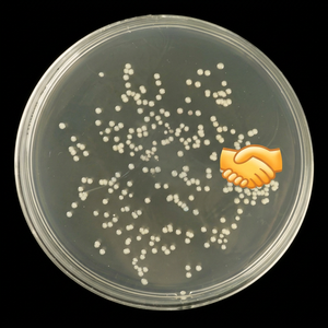 Agar nutritif pour tests de laboratoire, marque Haibo, réactifs généraux - Product Image 1
