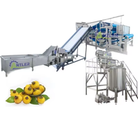 Industriële Stekelige Peer Vruchtensap Concentraat Pulp Jam Verwerkende Machine Fabriek