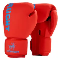 Индивидуальная боксерская груша для Муай Тай, боксерские перчатки класса MMA Pro, тренировочные Боксерские перчатки для мужчин и женщин