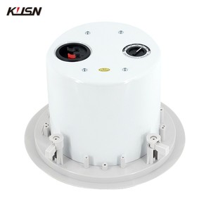 8 ohm 8 inch đồng trục tweeter thiết kế Hi-Fi âm nhạc trong loa trần âm thanh hoàn hảo Loa PA hệ thống với công suất điều chỉnh - Product Image 3