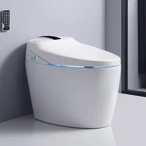 Sanitaires luxe style moderne fonctionnement entièrement automatique bidet électrique siphonique chasse intelligente toilette intelligente wc