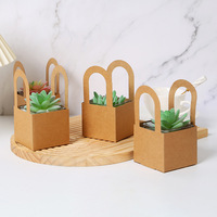 Boîtes cadeaux personnalisées en papier kraft imperméable avec fenêtre transparente en PVC et poignée en corde pour mini-pots de plantes succulentes, emballage pour plantes vertes