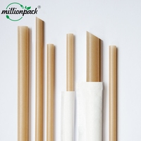 Pajitas de Papel Reciclado Biodegradables, Envueltas Individualmente, de Grado Alimenticio, Desechables, Compostables, con Logotipo Personalizado Impreso, Venta al Por Mayor para Bebidas