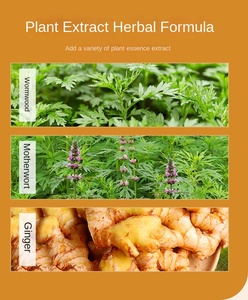 แผ่นประคบร้อนบำรุงมด<span class=keywords><strong>ลูก</strong></span> KMT สำหรับผู้หญิง ผสมวอร์มวูด มัธเธอร์เวิร์ต และขิง - ป้องกันการแพ้และช่วยผ่อนคลาย ชุด 5 ชิ้น - Product Image 6