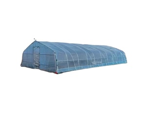 Serra Agricola Commerciale Industriale per Pomodori 8x50m a Costo Ridotto a Campata Singola - Product Image 1