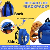 Accessoires pour petits animaux : Sac à dos et chapeau pour dragons barbus, kit mini-skateboard, design classique créatif, imprimé polyester