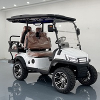 Aksesoris Krom OEM untuk Mobil Golf Listrik 4 Kursi dengan Aksesoris Krom