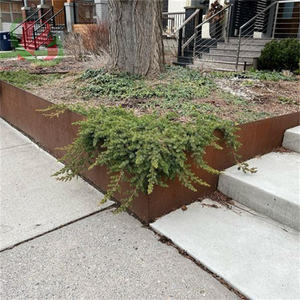 <span class=keywords><strong>Corten</strong></span> Сталь, садовый пейзаж, окантовка, металлическая цветочная клумба, окантовка для наружного использования - Product Image 2