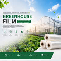 Film pour tunnel de serre 0,15 mm d'épaisseur, anti-UV, anti-buée, haute résistance, pour l'agriculture