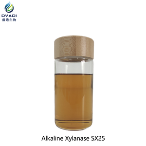 Xilanase Alcalina SX25 para Fabricação de Papel com Controle de Lignina - Product Image 3